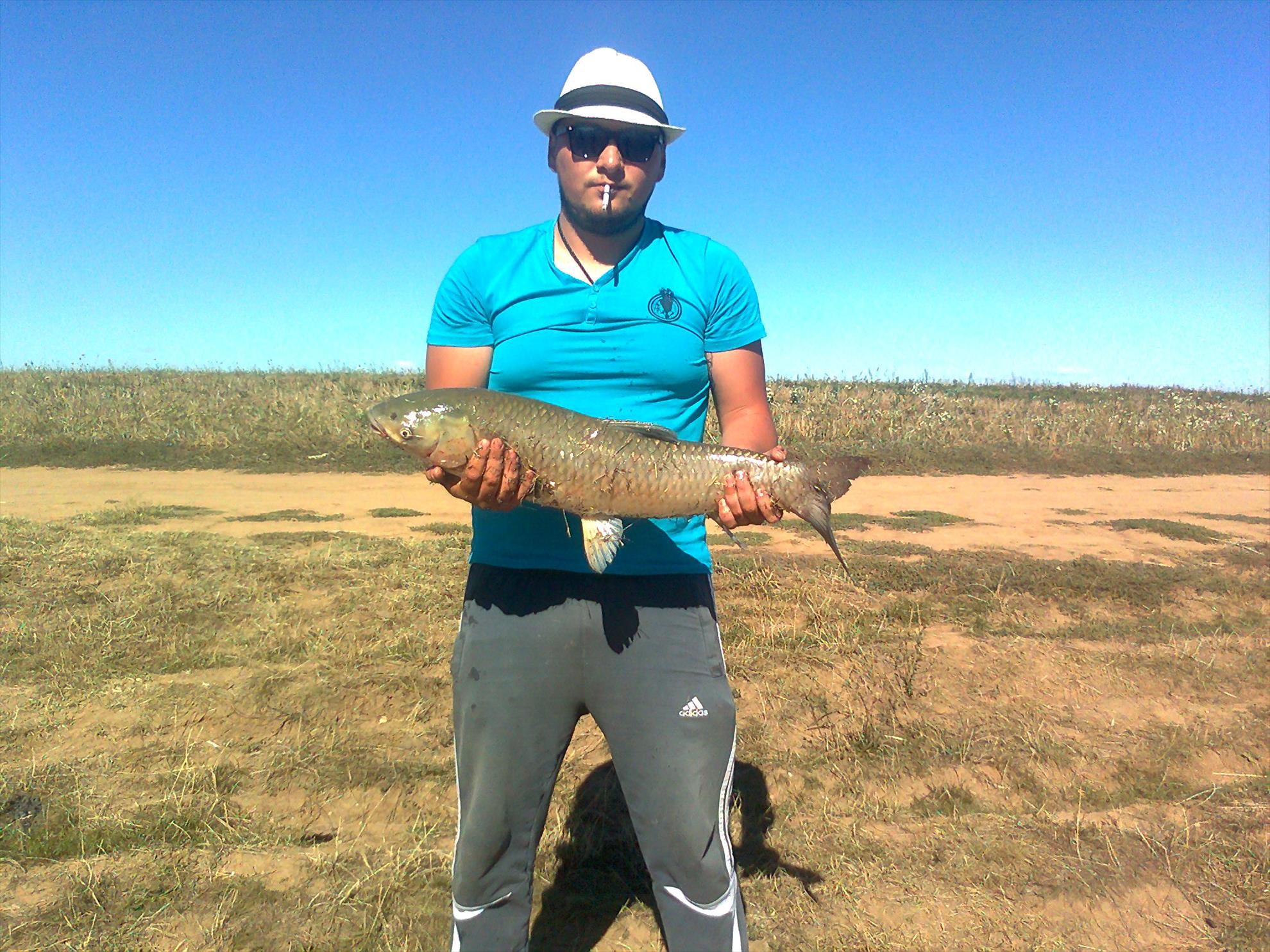 Teiu - photo0616.jpg